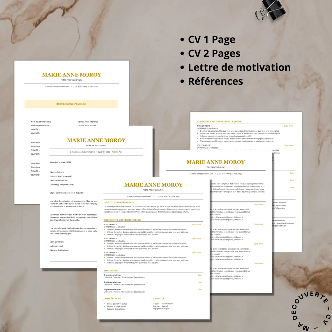 MODÈLE DE CV MINIMALISTE ET ÉPURÉ - OR (5)